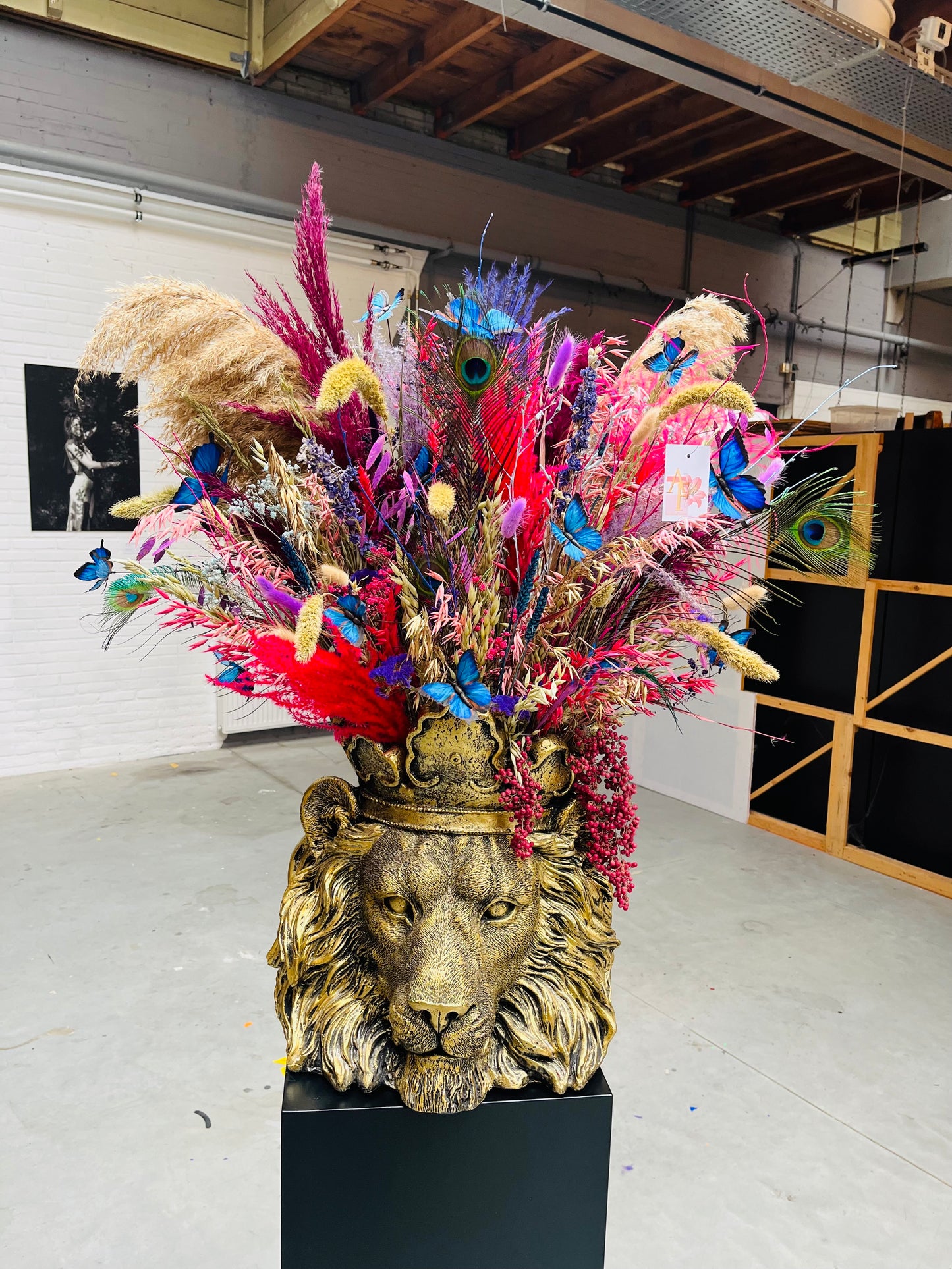 Clarence leeuw inclusief droogbloemen