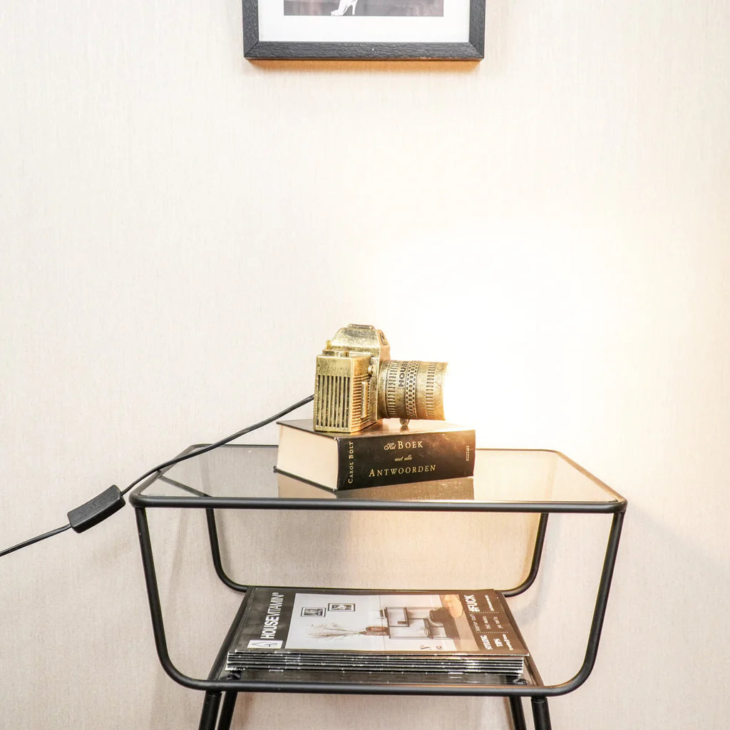 HV strike a pose camera lamp goud