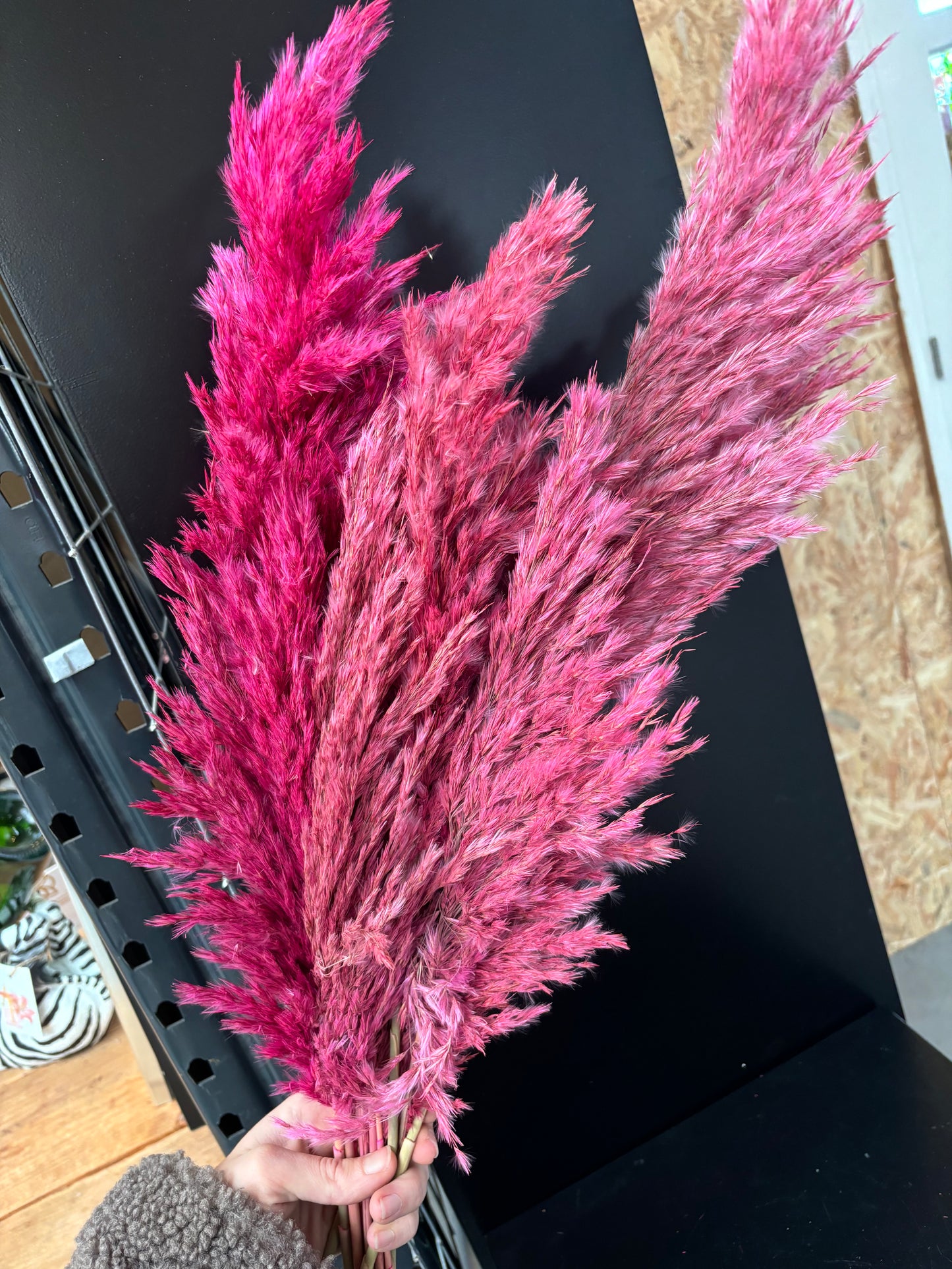 Roze pampas pluimen