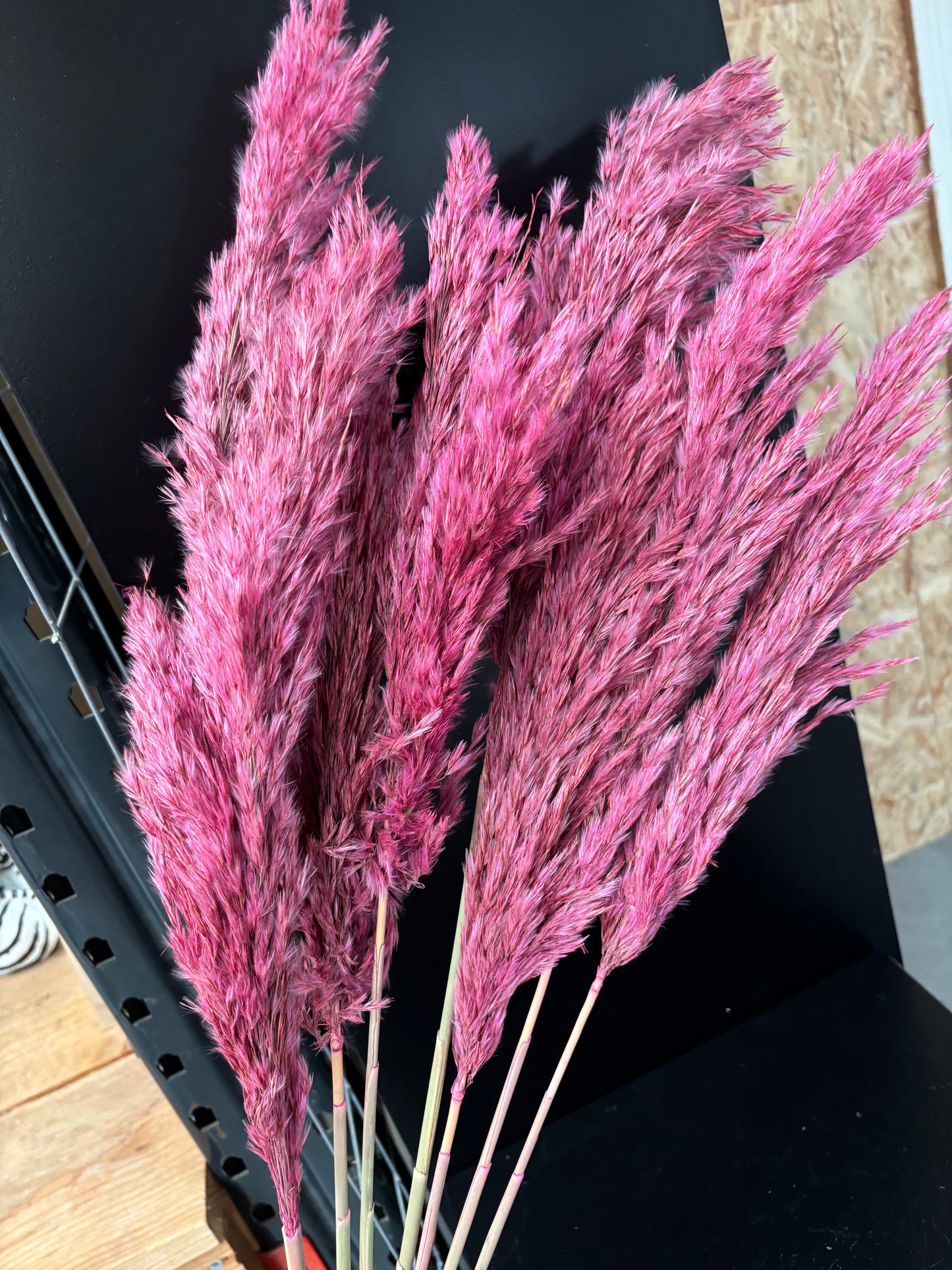 Roze pampas pluimen